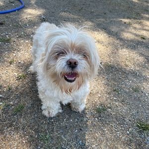 Meet your Posher, Talia